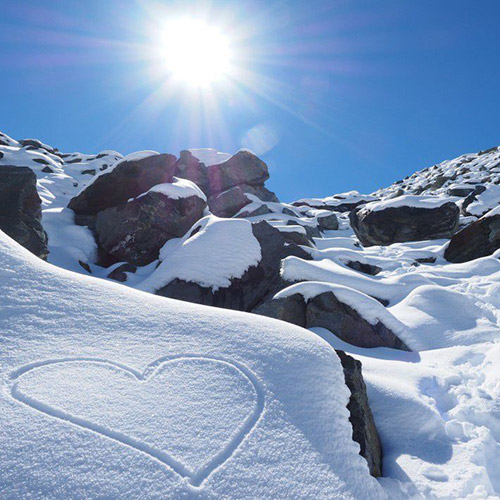 Love Has Brought Me To Despair